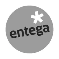 Logo entega